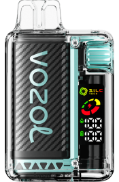 VOZOL VISTA 16000/20000 V08B8F9 Mayami nanəsi - VOZOL Vape Near Me